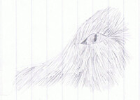  Random wolf eye