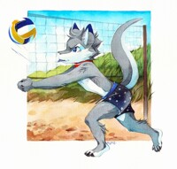volleyball