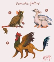 Domestic Griffins [1/3 OPEN]