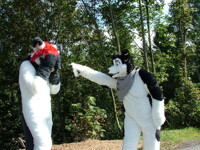 AAAAAAAAAAAAAAAAAIIIIIIIIIIIIIIIIIIIDDDDSSS!!!!!!!!!