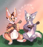 Ukulele practice