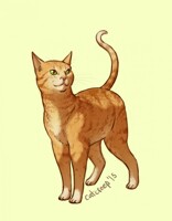 Kitty