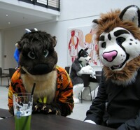 Otter and Cheetah