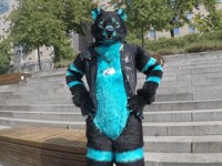 What are you looking at?