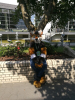 Eurofurence 24 - Too hot