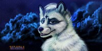 moonlit night