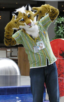 Cool Tiger