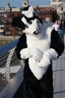 Shy sheepdog