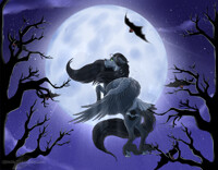 COM: Silent Night