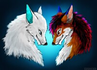 Birthday gift for Mako