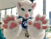 Paws up [Eurofurence 23]