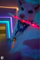 Dance time [Eurofurence 23]