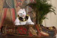 Empty... Oh well,maybe the next one.. [Eurofurence 23]