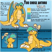 Sjru Ref sheet v4.0 Part 2