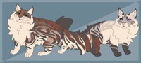 Wolfstar and Silverface