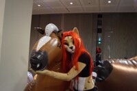Mydeggi caught a horse
