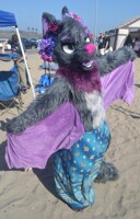 Beach Bonfire Fur Meet 2018- Batty Dancer
