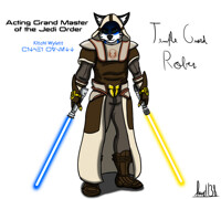 Temple Guard Robes