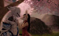 Kitsunes Moon