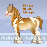 Draft horse for sale!