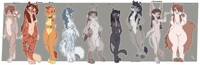 *ADOPTABLES*_Feminine felines