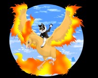 Koga and moltres