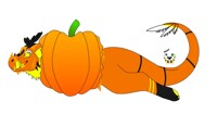 Pumpkin in a pumpkin,lol