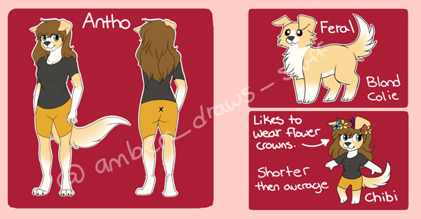 📜New Sona! Poki Reference Sheet📜