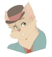 Uc - sure is a fat and fluffy cat