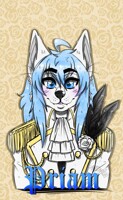 Priam New Badge !