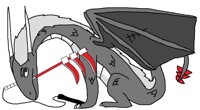 hidan dragon