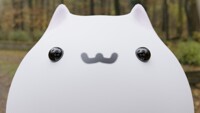 BONGO CAT