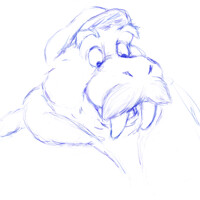 random for message