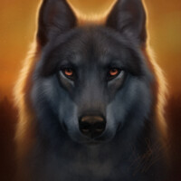 Iemyr - Serious glance