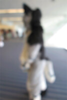 Let Me Clear That Lens