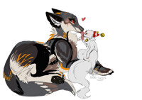 Iemyr x Pockett - Cute lick