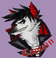 Captain Badge