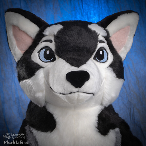 plushlife wolf