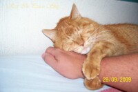 March 1996- October 6, 2009. 