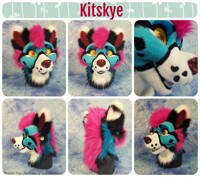 Kitskye the African wild dog.