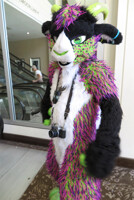 Attack Of The Spinram