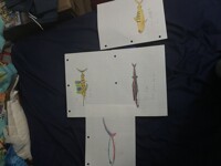 Quadruple art