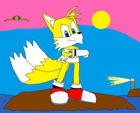 Tough Tails in the rocky beach