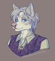 A proper portrait - com