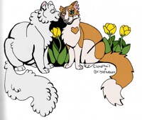 Snowfur [Warrior - Cats] by ~Akatsu -- Fur Affinity [dot] net