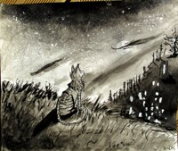 Skitty looking at the stars