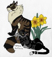 Warrior Cats- Firepaw, Graypaw, Ravenpaw by Woofstep -- Fur Affinity [dot]  net