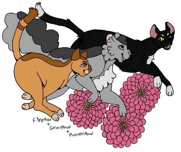 Warrior Cats- Firepaw, Graypaw, Ravenpaw by Woofstep -- Fur Affinity [dot]  net