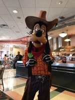Howdy Partners