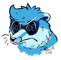 Rude Raccoon